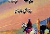 Jarnaili Sarak by Raza Ali Abidi