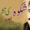 Interpretation of poem shikwa of Illama Muhammad Iqbal : علامہ اقبال کی نظم شکوہ کا ترجمہ و تشریح